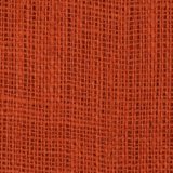 Burnt Sienna (image for) Burnt Sienna