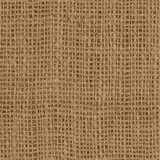 Florida Sand (image for) Florida Sand