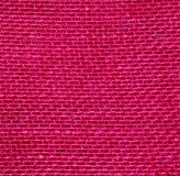 Fuschia (image for) Fuschia