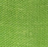 Lime (image for) Lime