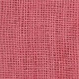 Snap Pink (image for) Snap Pink